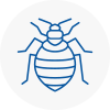 Bed Bug Extermination In New Addington