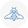 Bee Nest Removal New Addington