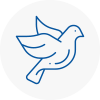 Bird Prevention New Addington