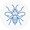 New Addington Hornet Nest Removals