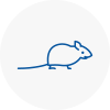 Mice Exterminators In New Addington
