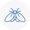 Moth Control Specialists In New Addington
