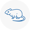 Rat Control New Addington