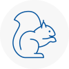 New Addington Rodent Removals