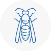 New Addington Wasp Nest Removal